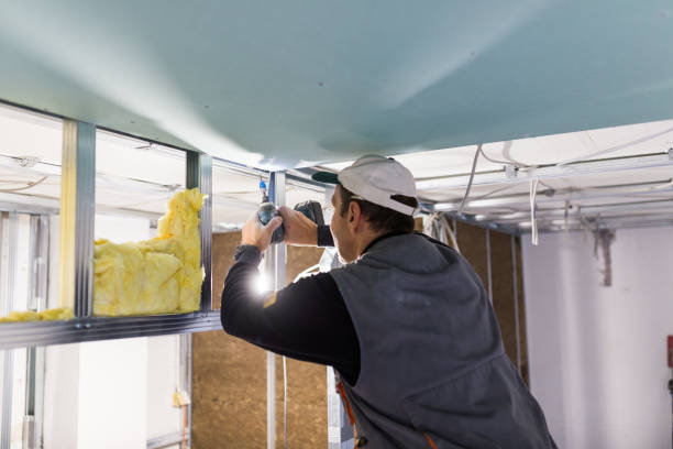 Best Radiant Barrier Insulation  in Tinley Park, IL